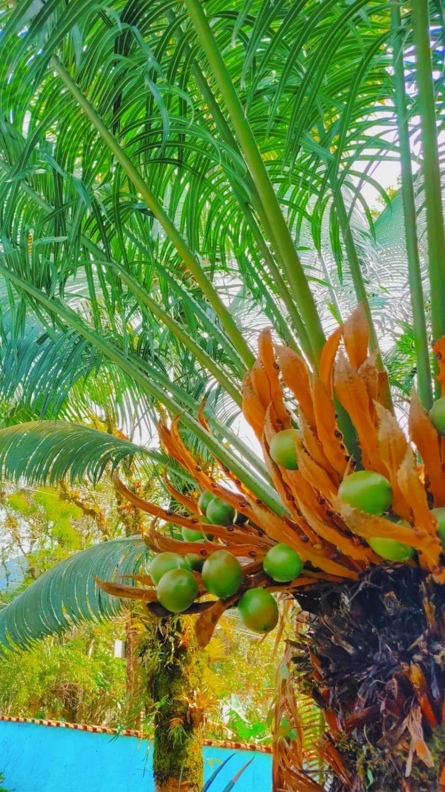 Renovo Beija-Flor Hostel E Espaco Terapeutico Bertioga Exteriör bild